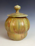 Ash Wood Fired Lidded Jar